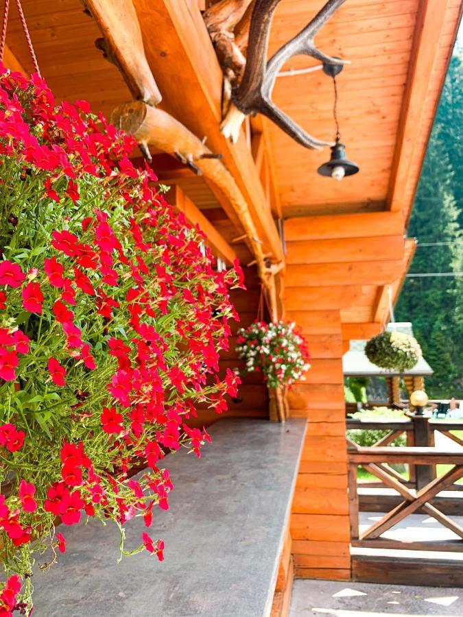Forest House Tatariv Exterior foto